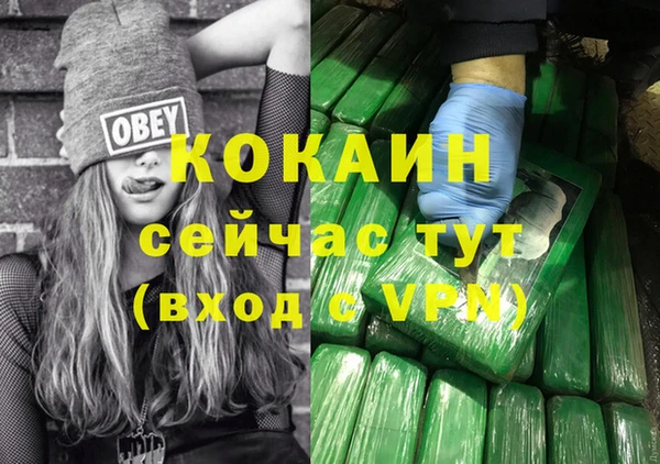 кокс Алексин