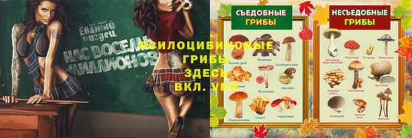 кокс Алексин