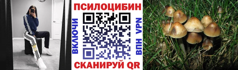 наркота  Черкесск  Галлюциногенные грибы ЛСД 